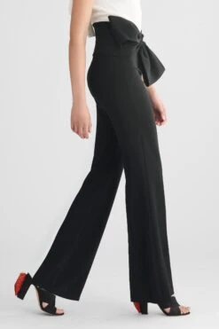 Whitley Pant - Black -Sachin & Babi Clothing R21P04 SIDE