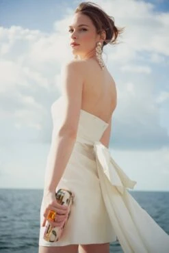 Kaia Dress - Ivory -Sachin & Babi Clothing SBCAMERARAW0935 Edit